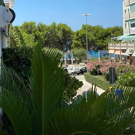 Apulia By Amarena Collection * Gallipoli